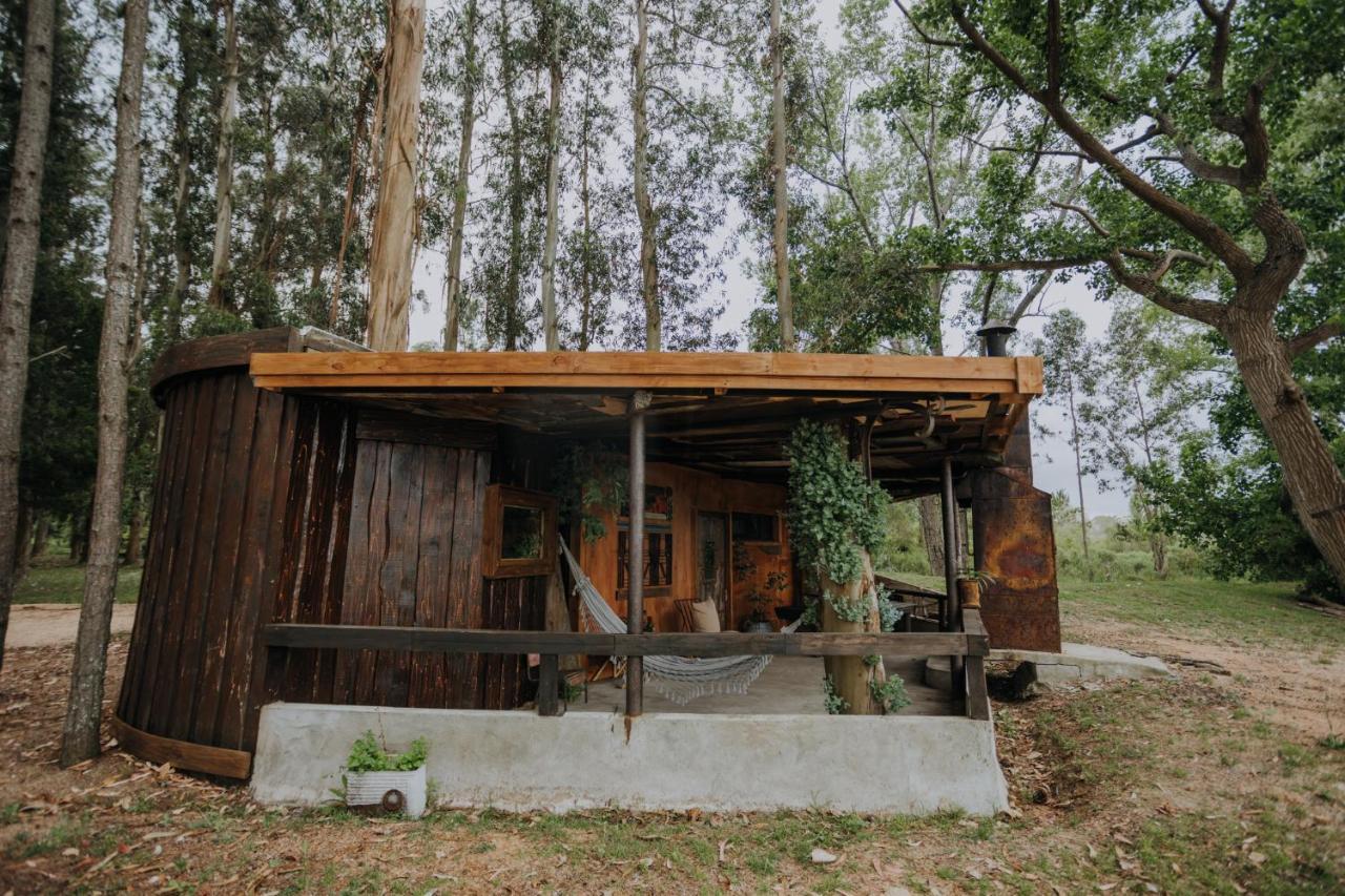 Cabanas En El Bosque A 5 Minutos Del Mar - Estancia Ch Punta del Este Zewnętrze zdjęcie
