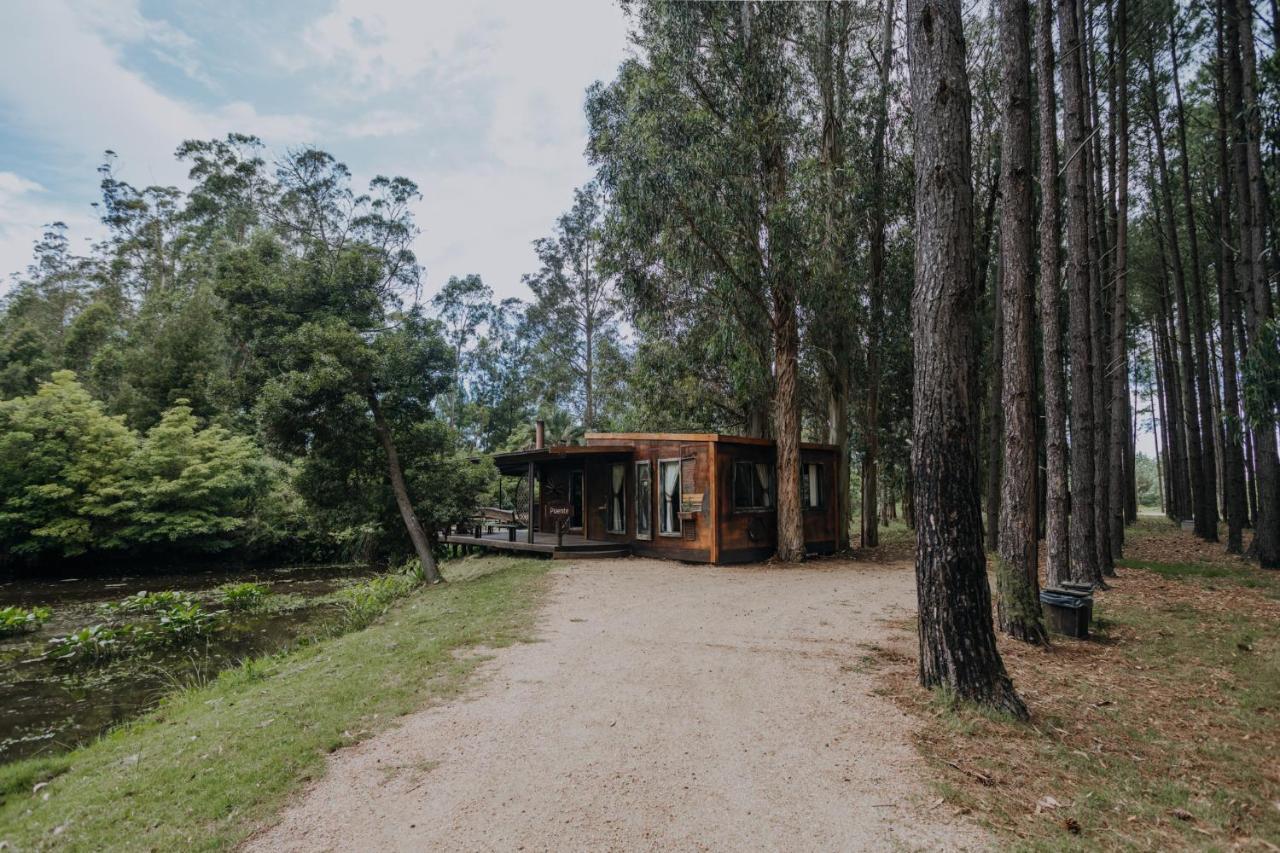 Cabanas En El Bosque A 5 Minutos Del Mar - Estancia Ch Punta del Este Zewnętrze zdjęcie