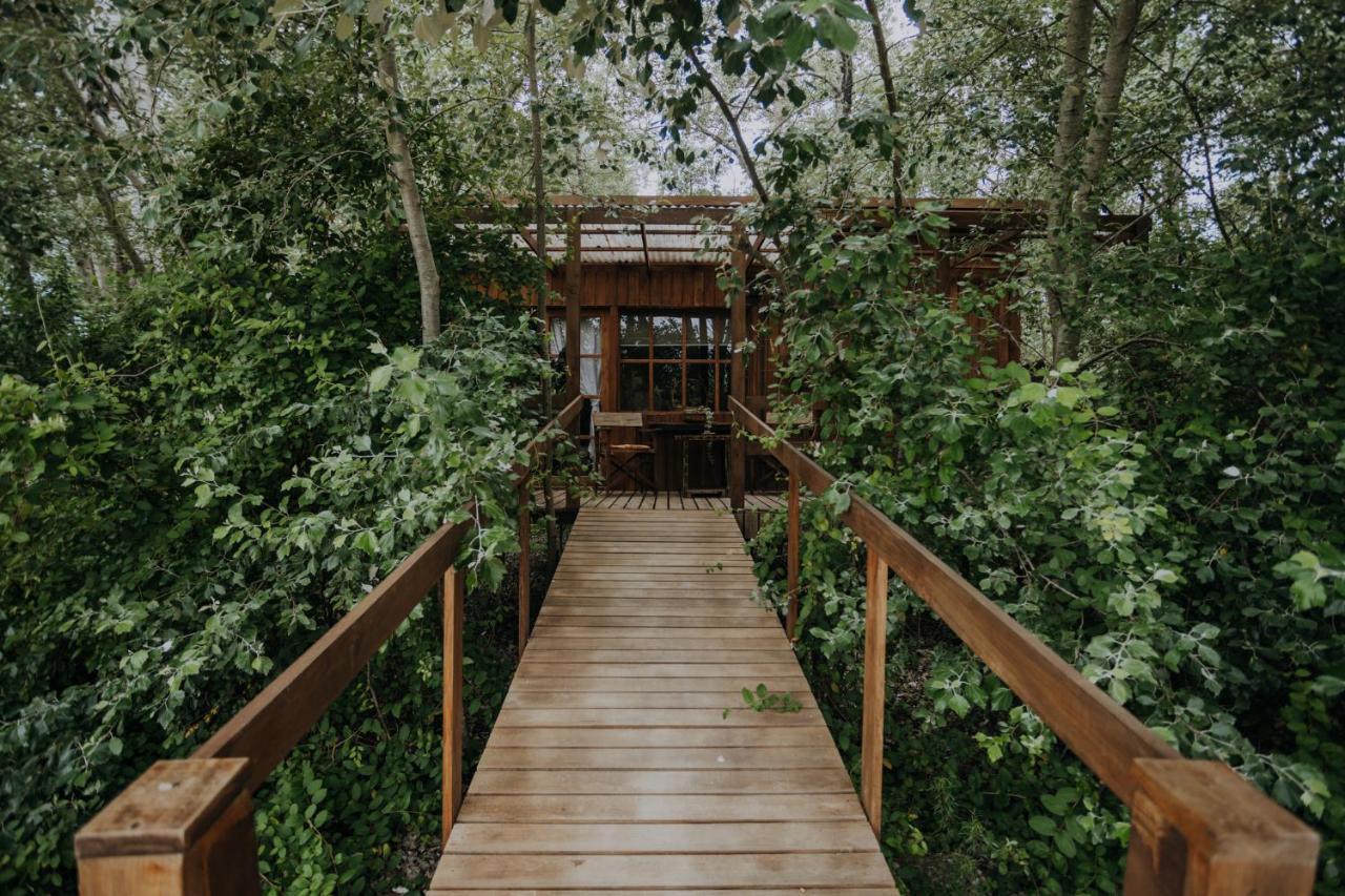 Cabanas En El Bosque A 5 Minutos Del Mar - Estancia Ch Punta del Este Zewnętrze zdjęcie